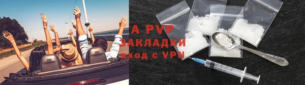 PSILOCYBIN Бородино