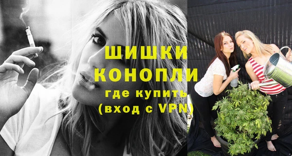 PSILOCYBIN Бородино