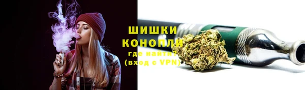 PSILOCYBIN Бородино
