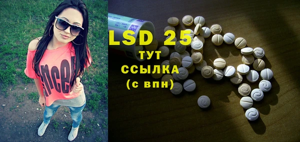 PSILOCYBIN Бородино