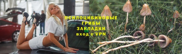 apvp Бронницы