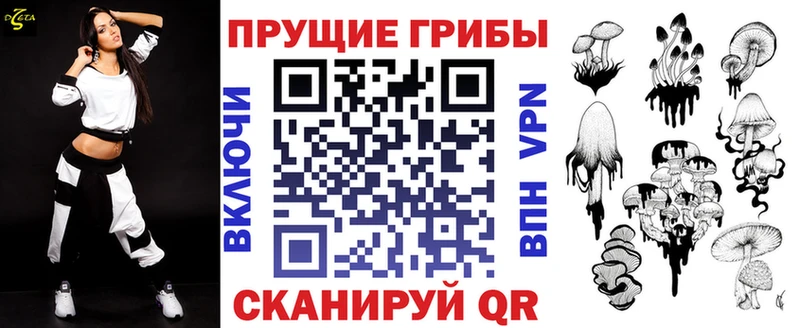 Псилоцибиновые грибы Psilocybe  Жигулёвск 
